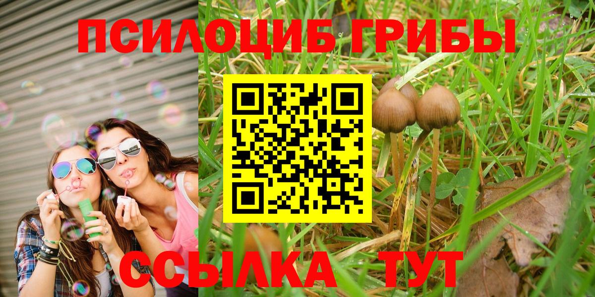 Тулун  Галлюциногенные грибы GOLDEN TEACHER  Вход с VPN 