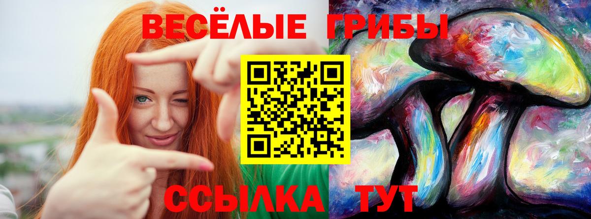 Галлюциногенные грибы прущие грибы Тулун